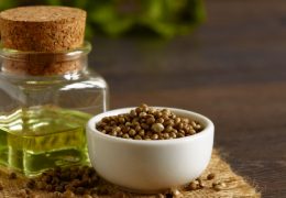 Grow Luscious Hair Faster with Hemp Seed Oil